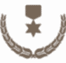 Alternate Text