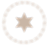 Alternate Text