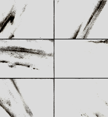 project-img